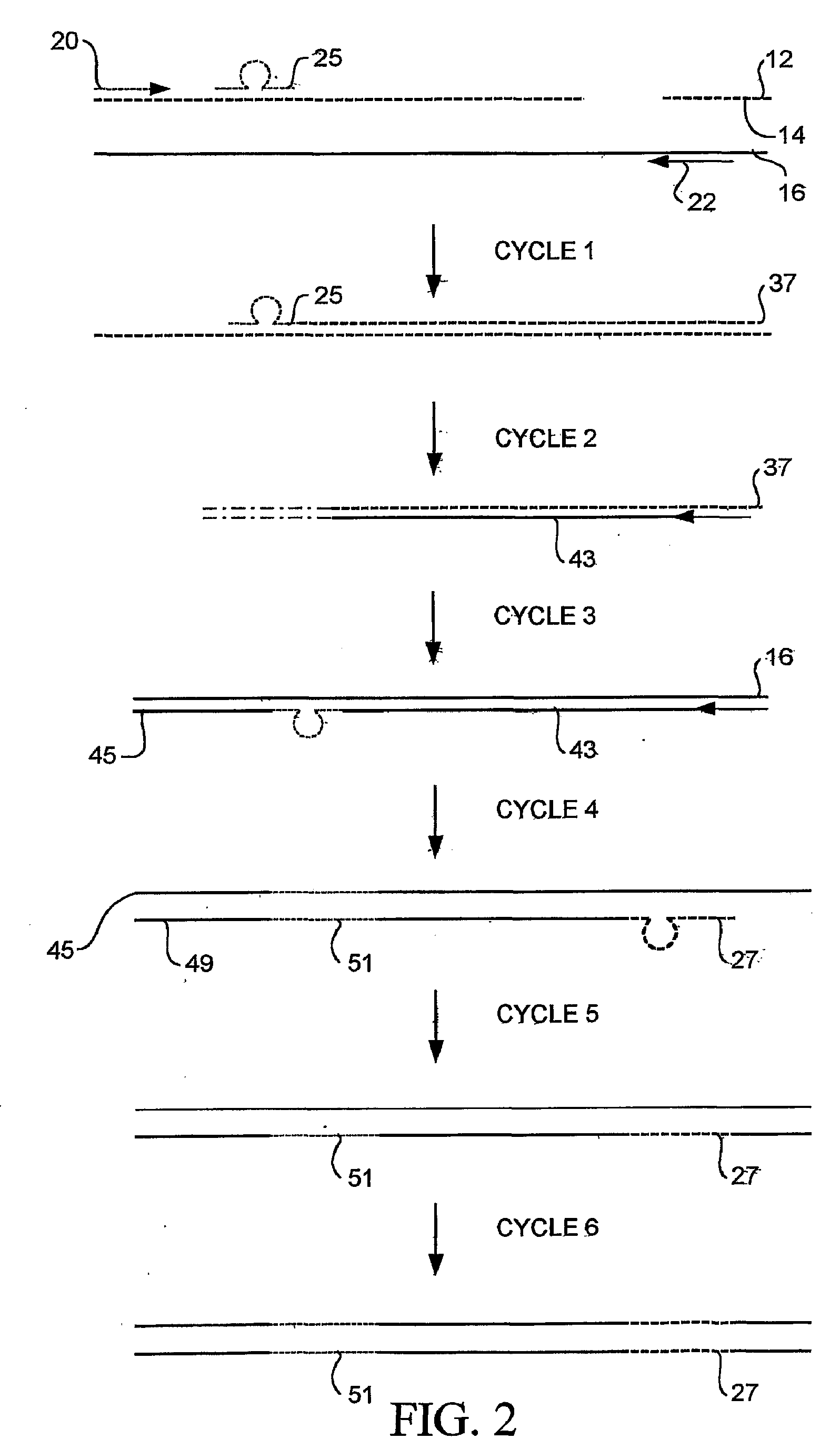 Random Mutagenesis And Amplification Of Nucleic Acid