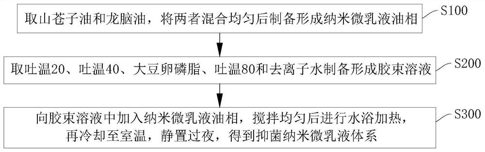 Antibacterial nano-microemulsion system, preparation method, application and application method