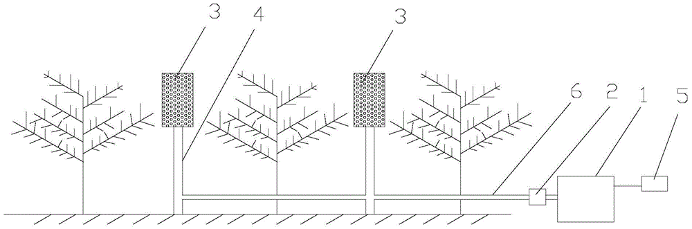 Fruit tree irrigation system