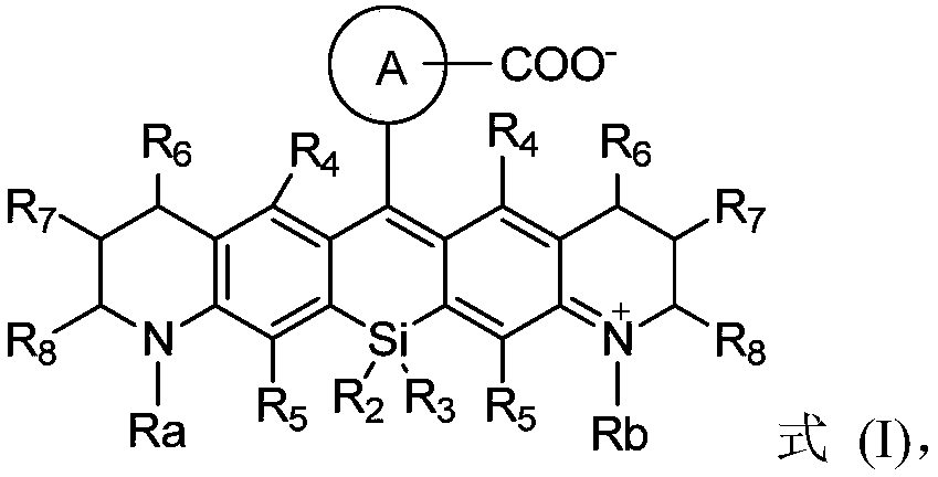 Silicon-based rhodamine derivative and preparation method thereof