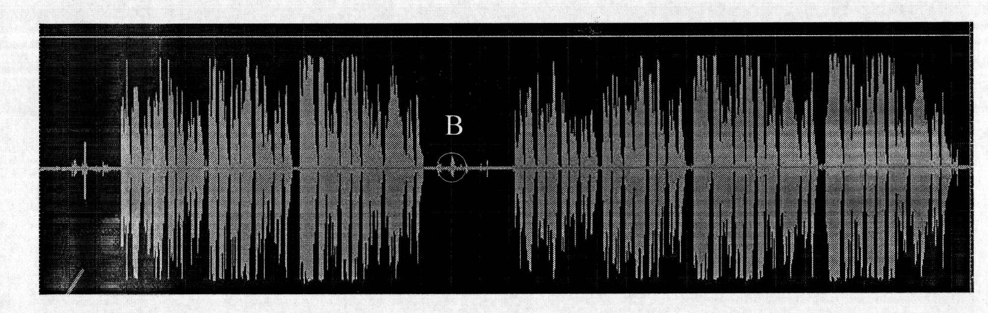 Audio broadcast system, receiving device thereof and audio receiving processing method