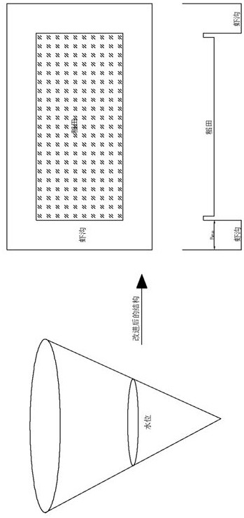 Hydrological simulation method and system for shrimp and rice co-cropping area based on swat improved model