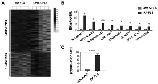 Long non-coding RNA (lncRNA) and application thereof in diagnosis/treatment of rheumatoid arthritis (RA)