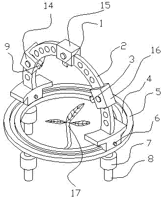 Device and method for detecting content of protein in tomato leaves by multi-angle in situ spectrum