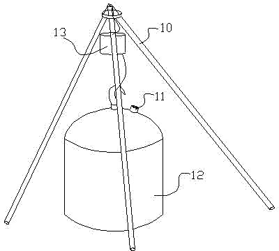 Device and method for detecting content of protein in tomato leaves by multi-angle in situ spectrum