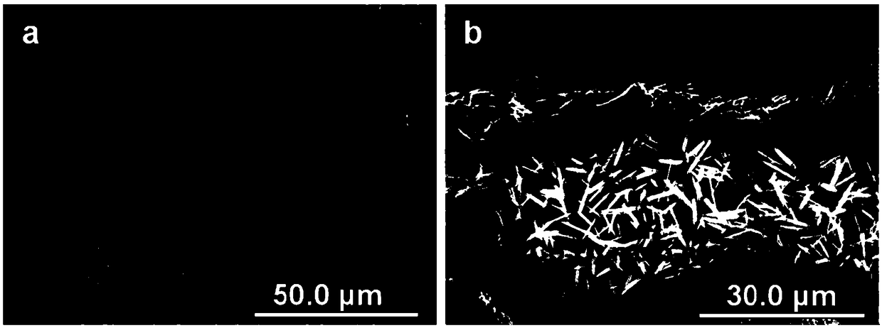 Composite multi-layer network film based on sodium titanate nano wire and cobaltosic oxide nanoneedle, as well as preparation method and application thereof