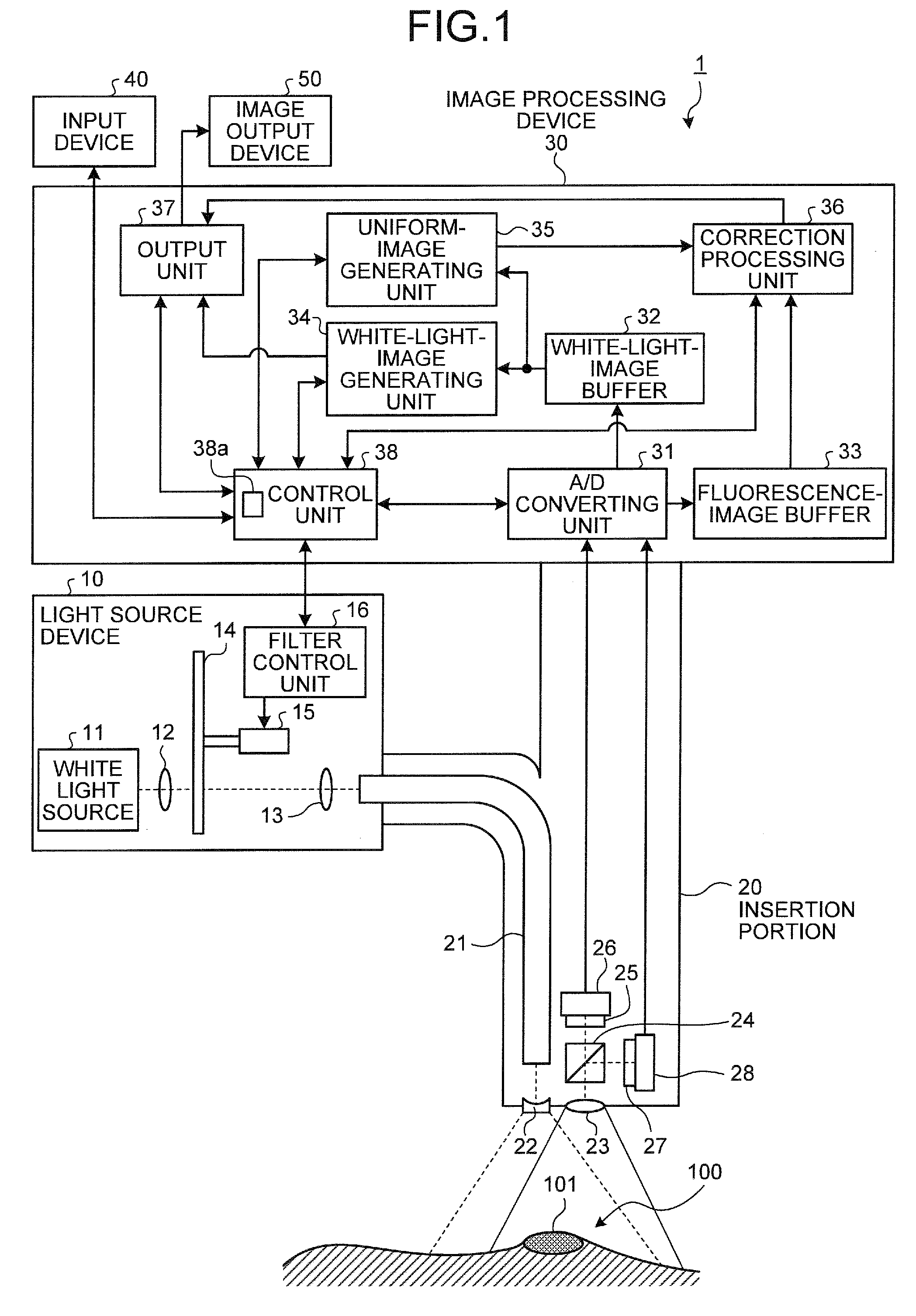 Image processing device, imaging device, computer-readable recording medium, and image processing method