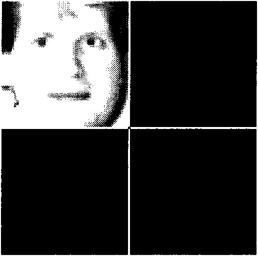 Image cross reconstruction-based single-sample registered image face recognition method