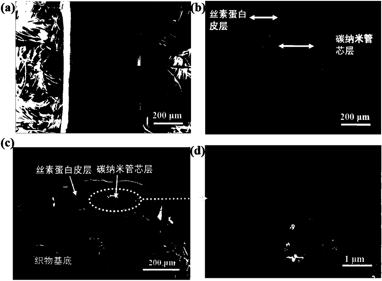 Skin-core structure fiber intelligent pattern and printing method and application thereof