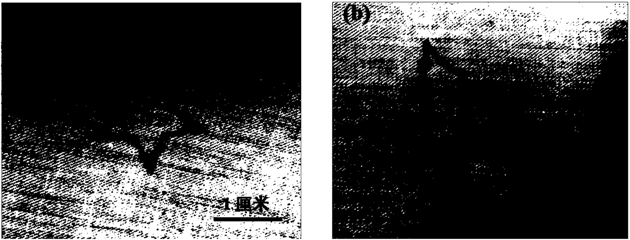 Skin-core structure fiber intelligent pattern and printing method and application thereof