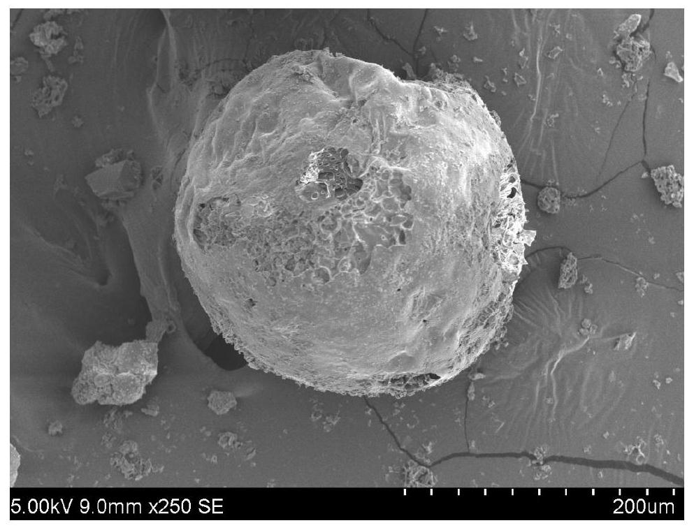 One-step method for preparing wood-based activated carbon microspheres and its application