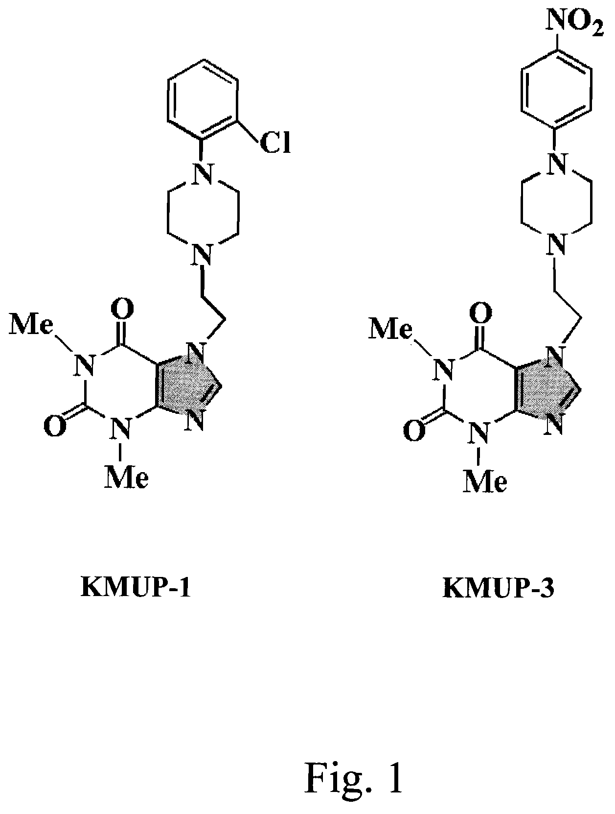 Anti-inflammation activity of newly synthesized xanthine derivatives kmup-1 and kmup-3