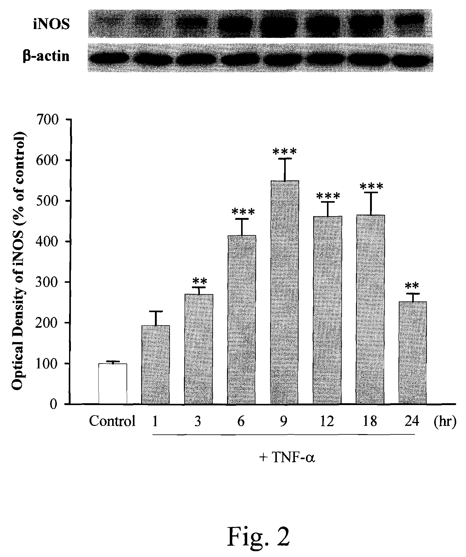 Anti-inflammation activity of newly synthesized xanthine derivatives kmup-1 and kmup-3