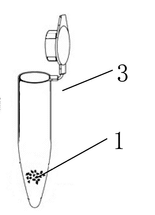 Kit for detecting low-abundance and low-molecular-weight protein spectrum