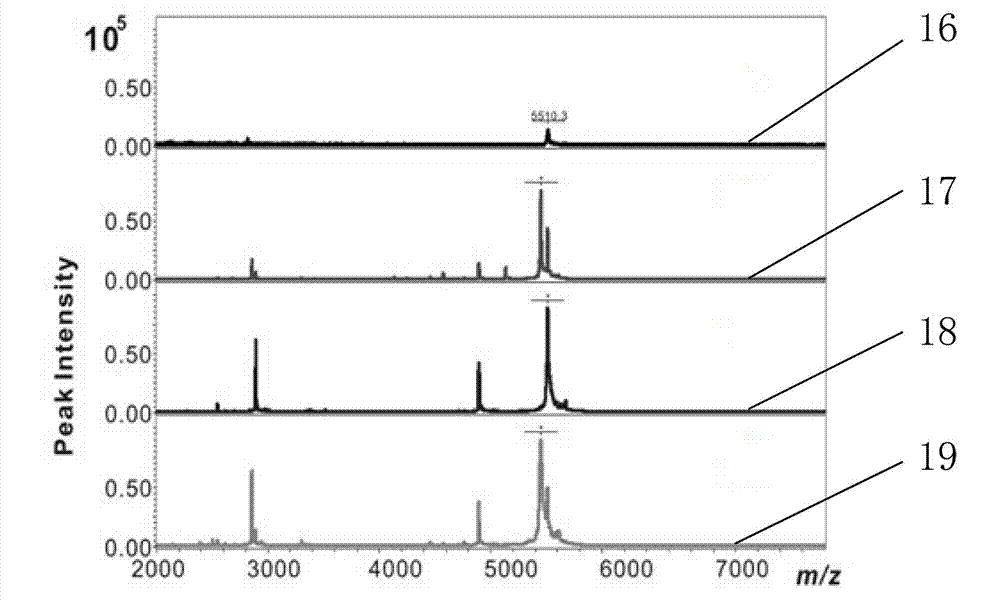 Kit for detecting low-abundance and low-molecular-weight protein spectrum