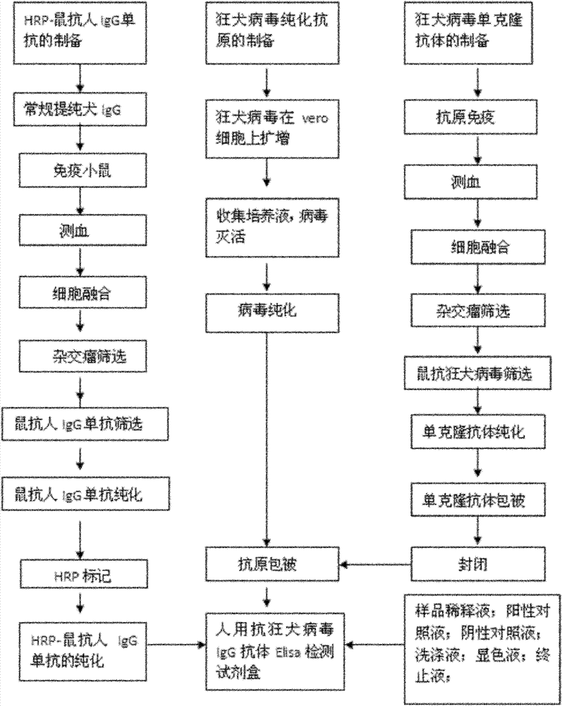 Human anti-rabies virus IgG antibody ELISA test kit