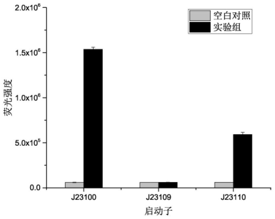 D-psicose biosensor and application thereof