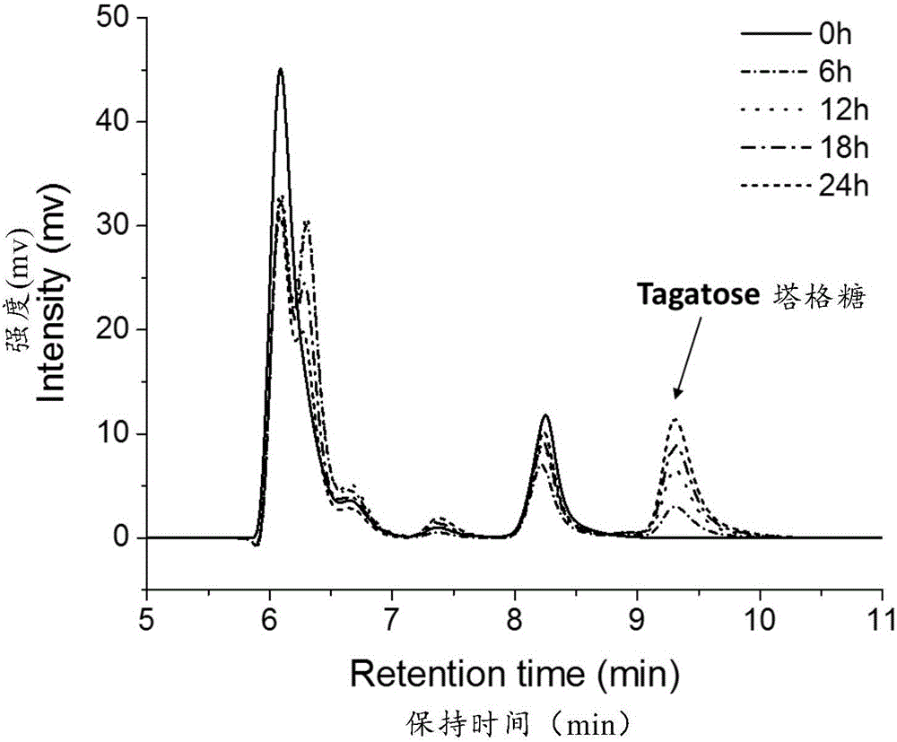 Tagatose preparation method