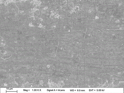 Treatment method for improving mold steel surface frictional wear resistance