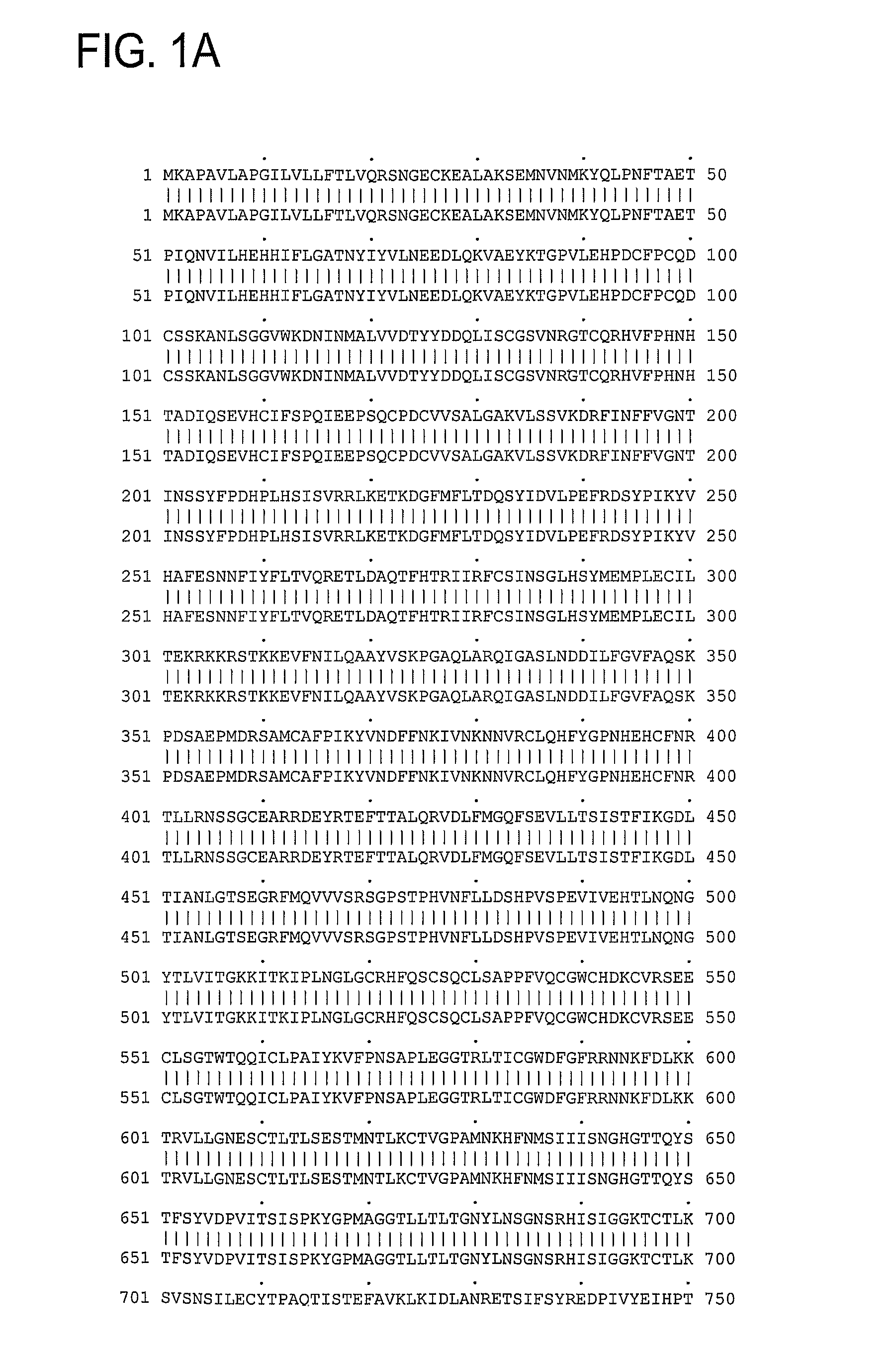 Hepatocyte growth factor receptor splice variants and methods of using same