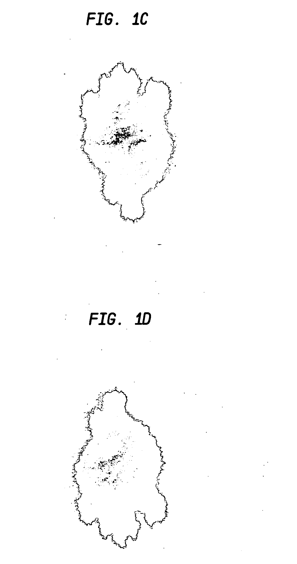 Absorbent sheet exhibiting resistance to moisture penetration