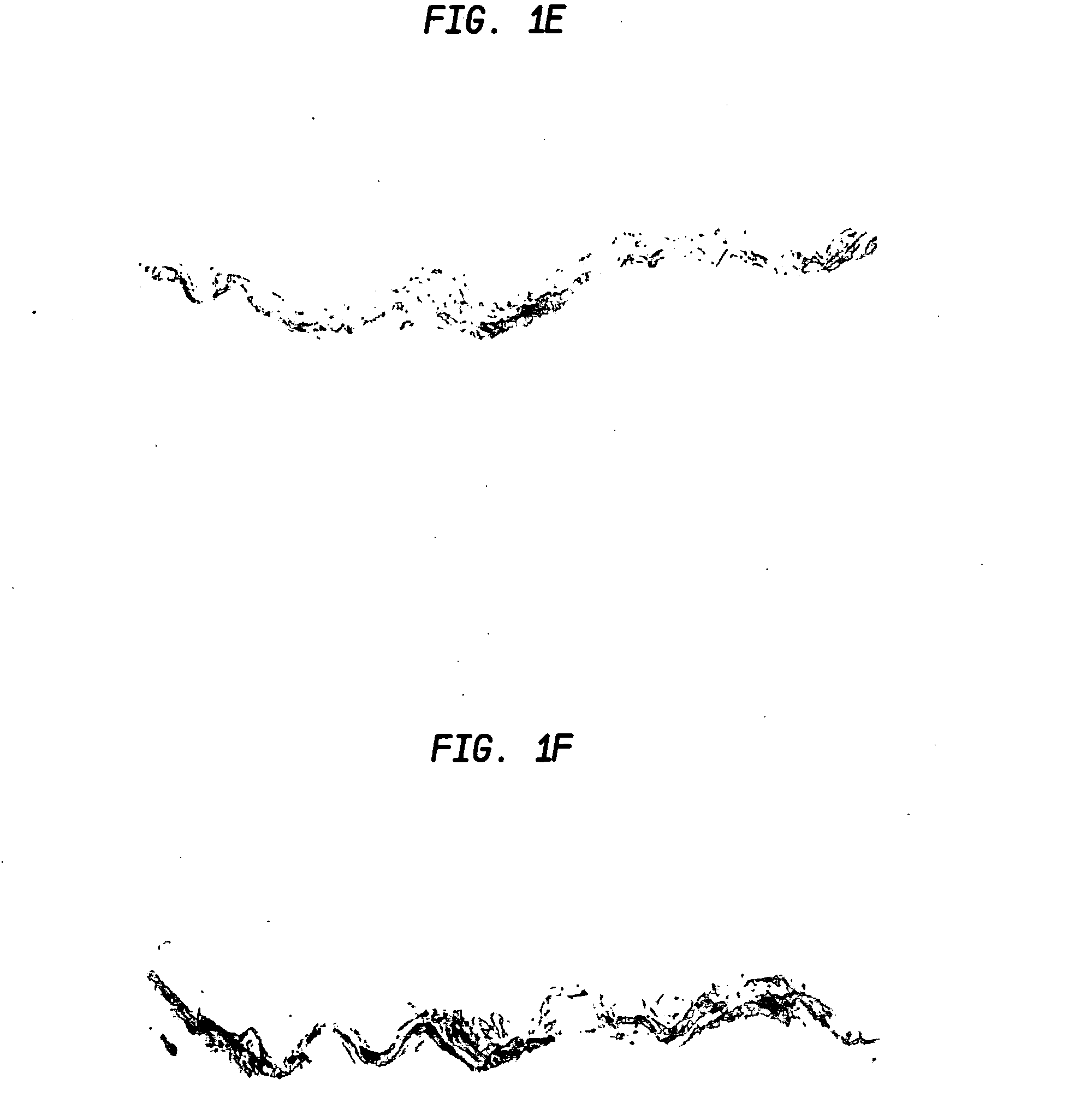 Absorbent sheet exhibiting resistance to moisture penetration