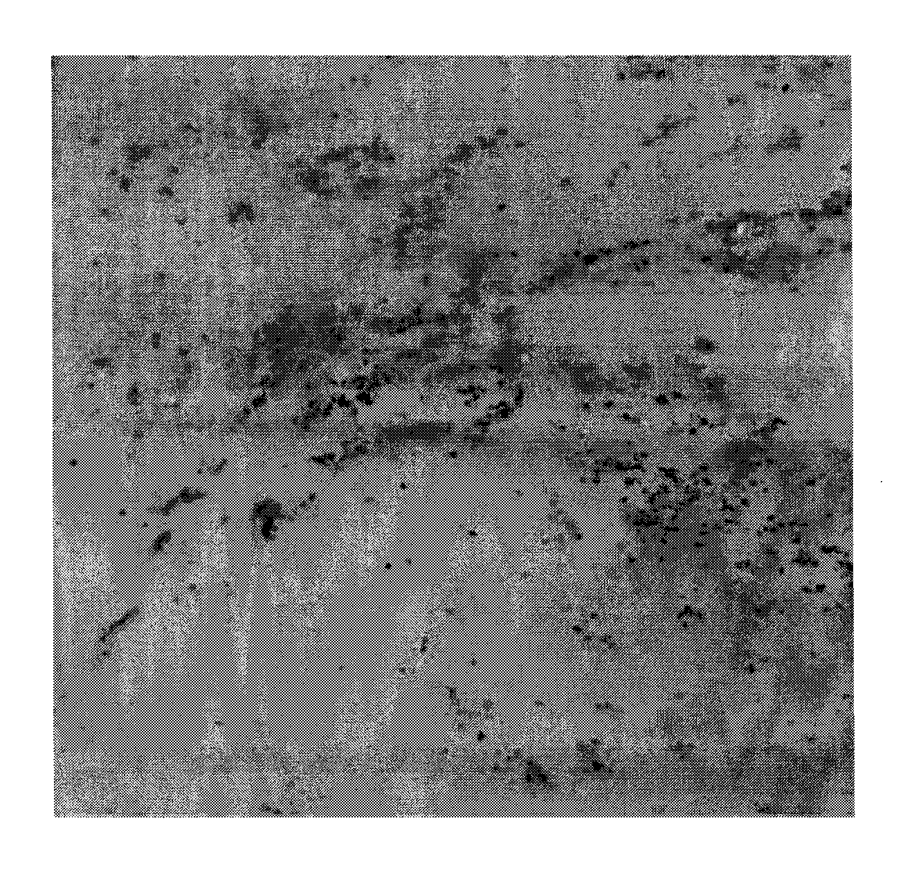 Artificial marble and method of manufacturing the same