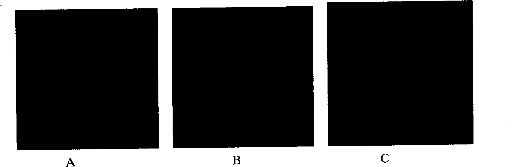 Preparation of composite drug-loaded nanoparticles of carboxyl-chitosan and chitosan modified by glycyrrhizanates