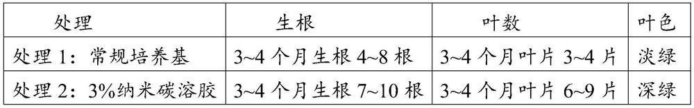 Application of carbon nano-sol in cultivating strawberry, a strawberry seedling cultivating medium, matrix and strawberry seedling cultivating method