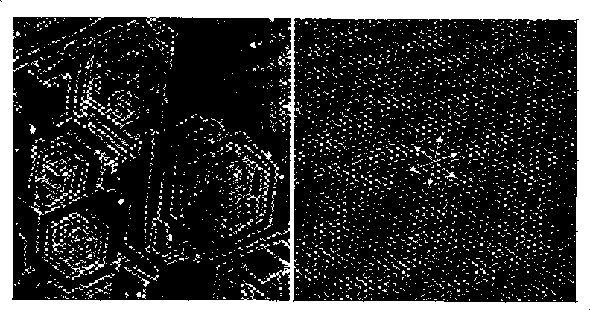 Construction method of micro/nano graph of DNA molecule