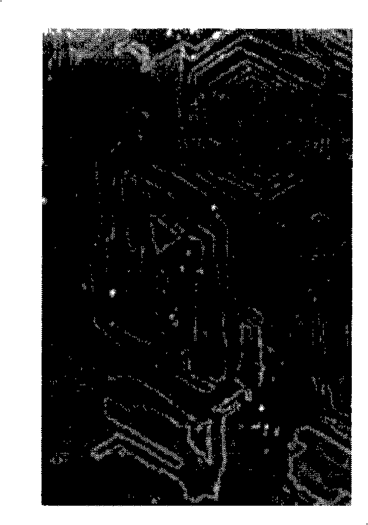 Construction method of micro/nano graph of DNA molecule