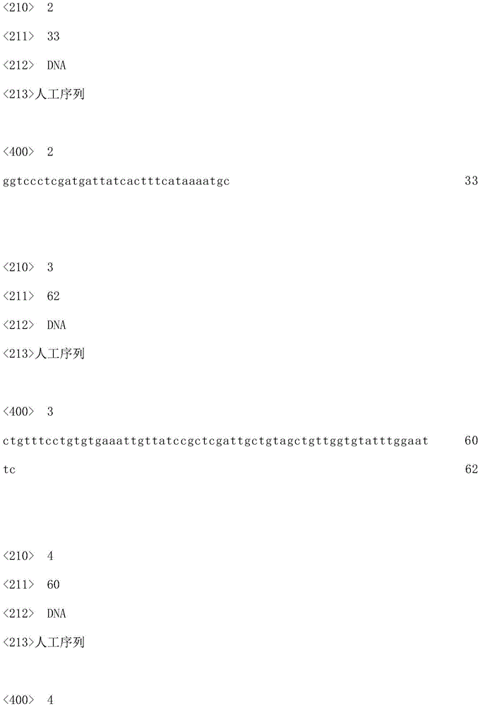 Recombinant Bacillus subtilis for efficiently synthesizing acetylglucosamine