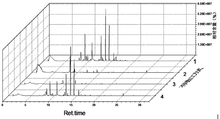 Mucor racemosus and application thereof