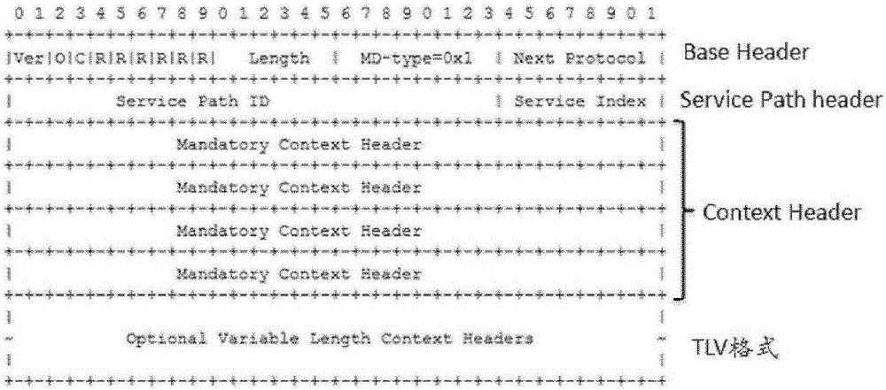 Data message processing method and device