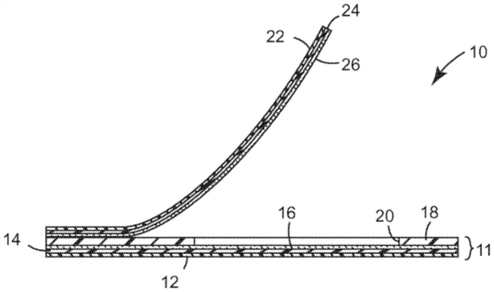 Devices and kits for propagating or storing microorganisms and methods for their preparation and use