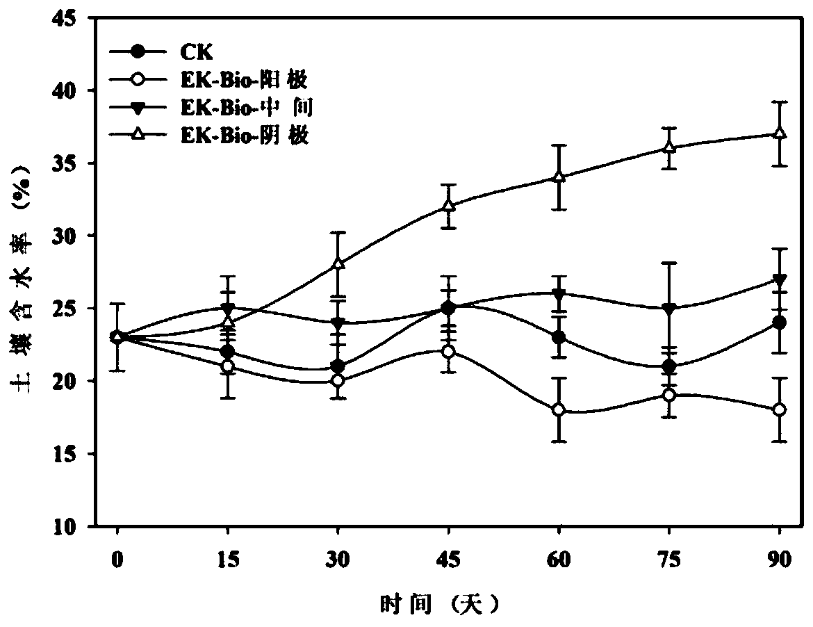 Functional bacterium applicable to petroleum polluted soil repairing in positive column of direct current electric field and application thereof