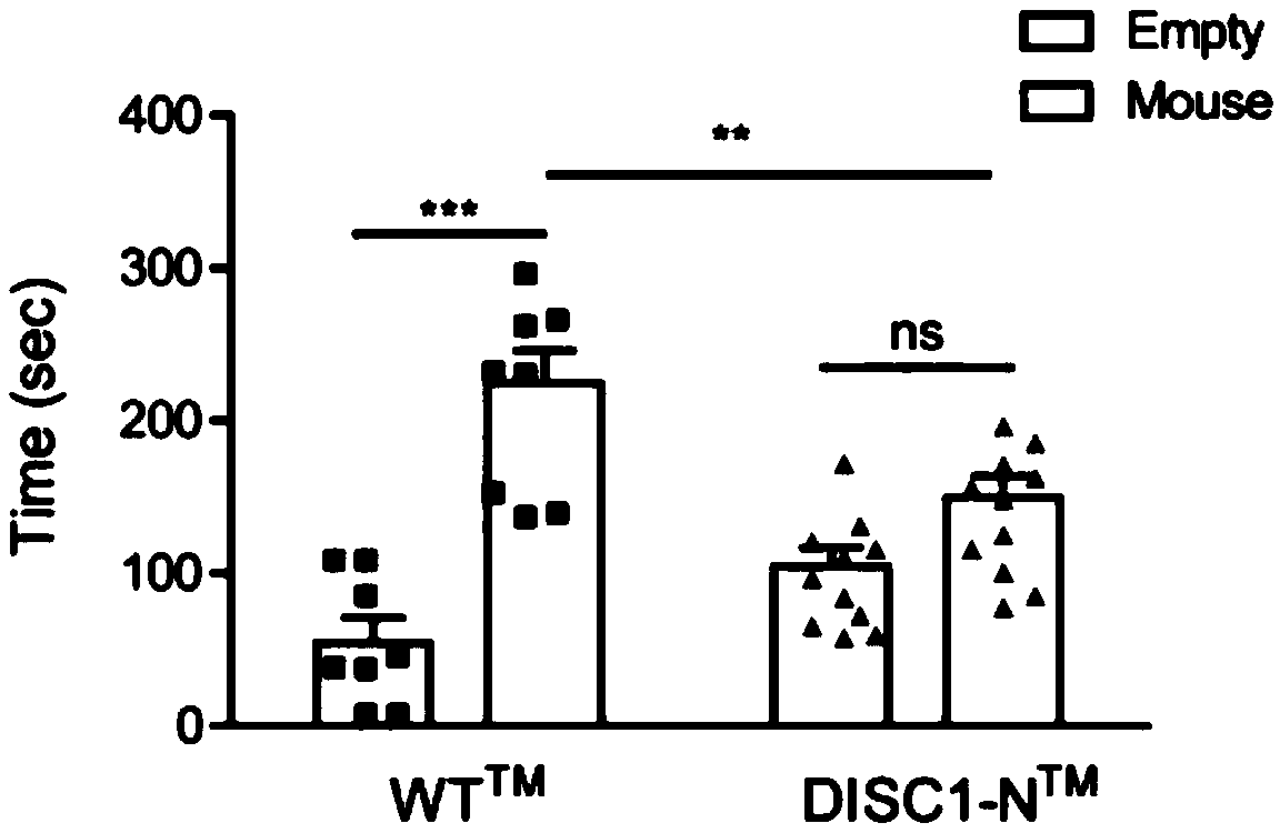 Application of D-serine as marker in preparing depression diagnostic kit as well as depression diagnostic kit