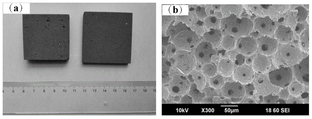 Method for preparing foamed ceramic through hydrophobic flocculation