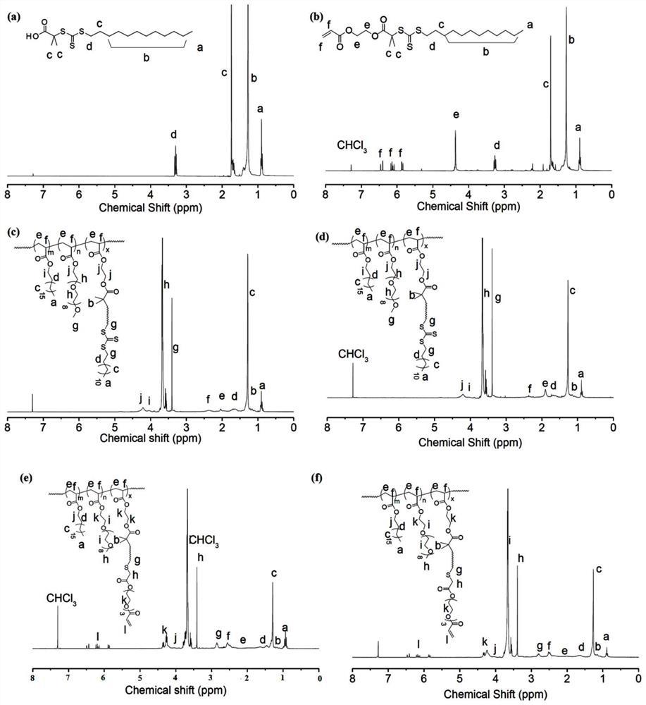 A kind of hyperbranched polymer polypeptide and its preparation method and application