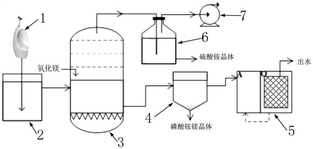 Urine sewage nitrogen and phosphorus recovery and purification treatment device and method