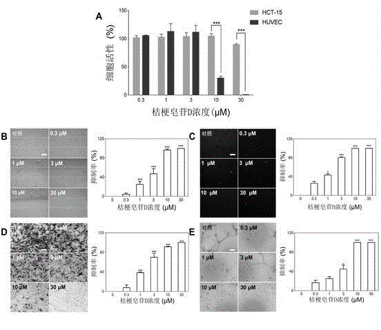 Application of platycodin D in preparing medicaments for inhibiting angiogenesis