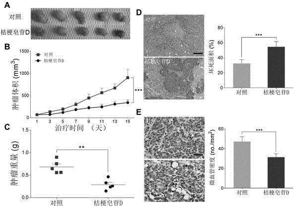 Application of platycodin D in preparing medicaments for inhibiting angiogenesis