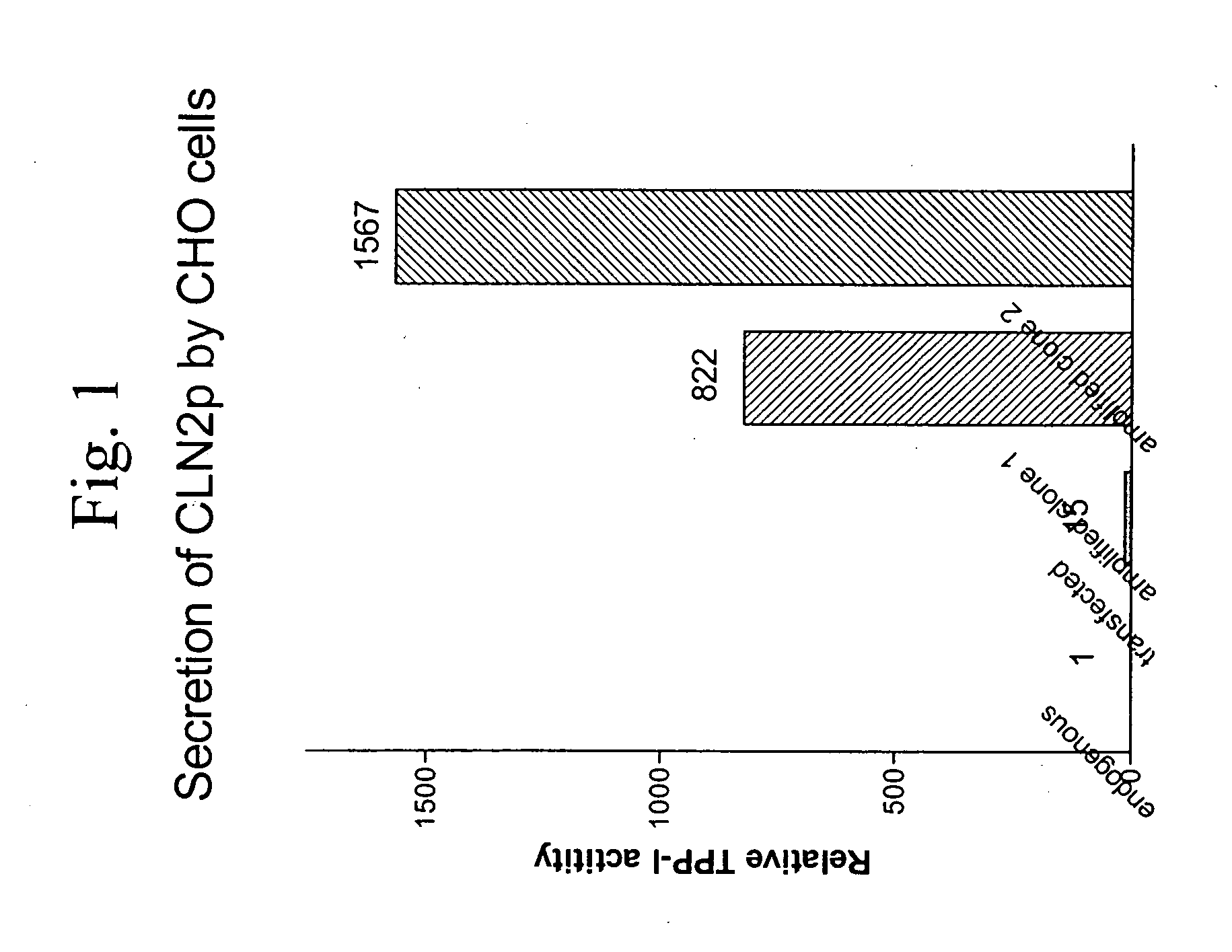 Recombinant human CLN2 protein and methods of its production and use