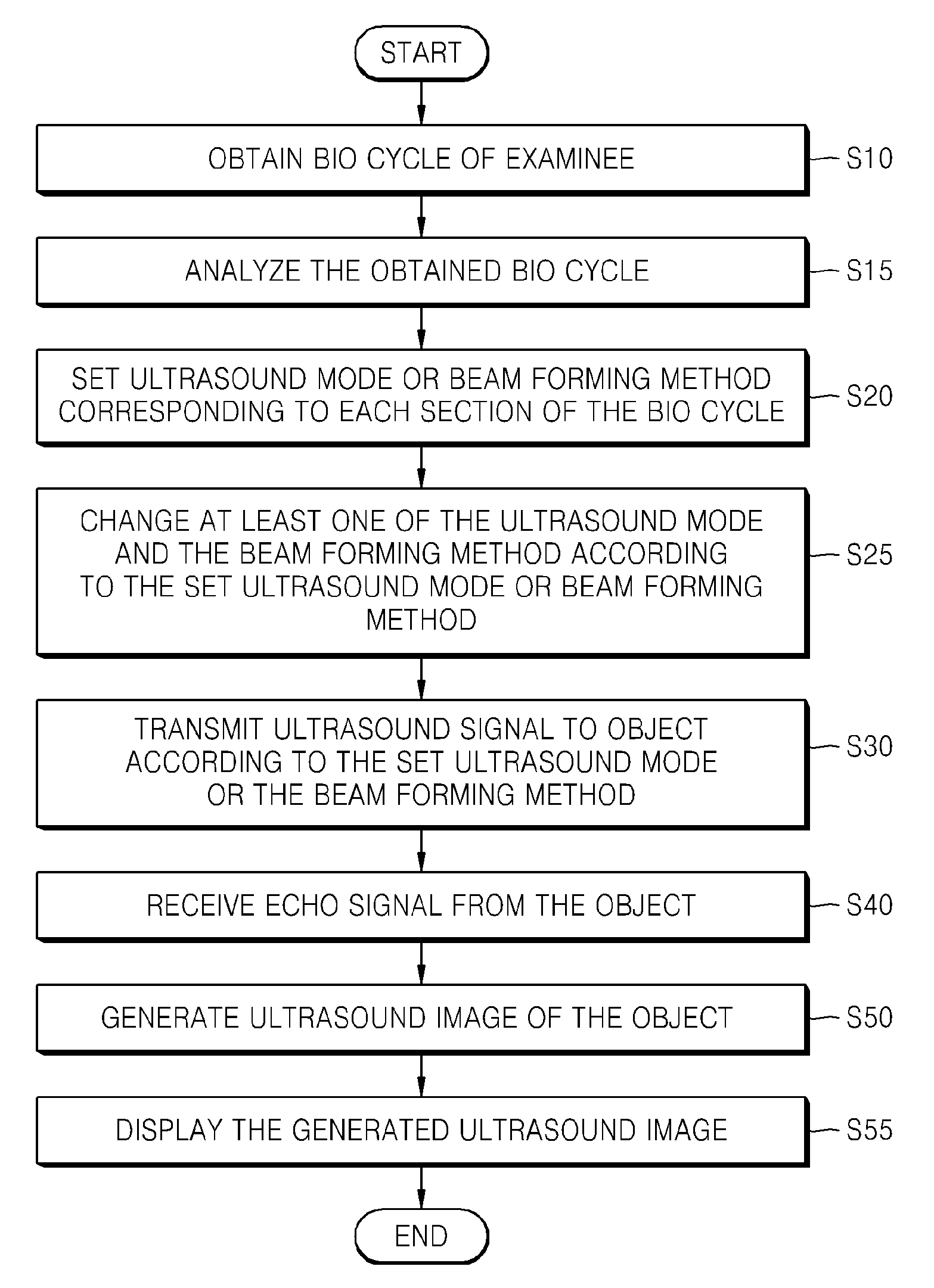 Ultrasound system and method of obtaining ultrasound image