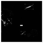 Remote sensing image marine ship identification system and method based on improved YOLOv4 algorithm