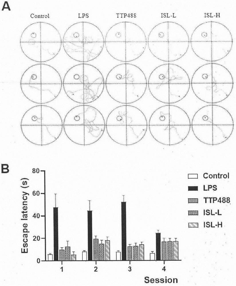 Application of isoliquiritigenin in preparation of anti-neuroinflammation drugs