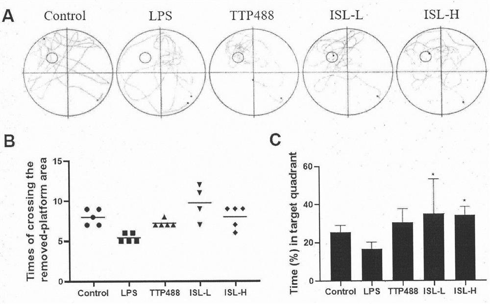 Application of isoliquiritigenin in preparation of anti-neuroinflammation drugs