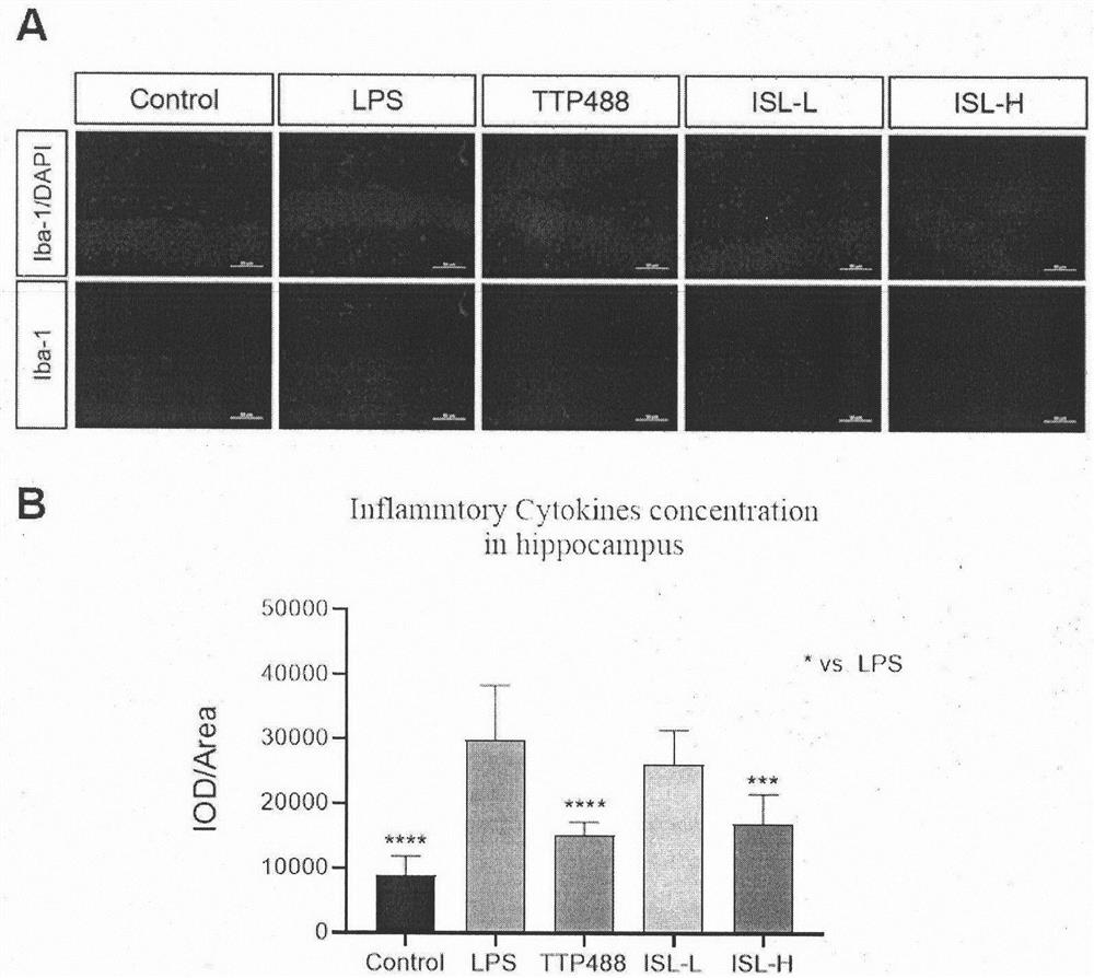 Application of isoliquiritigenin in preparation of anti-neuroinflammation drugs