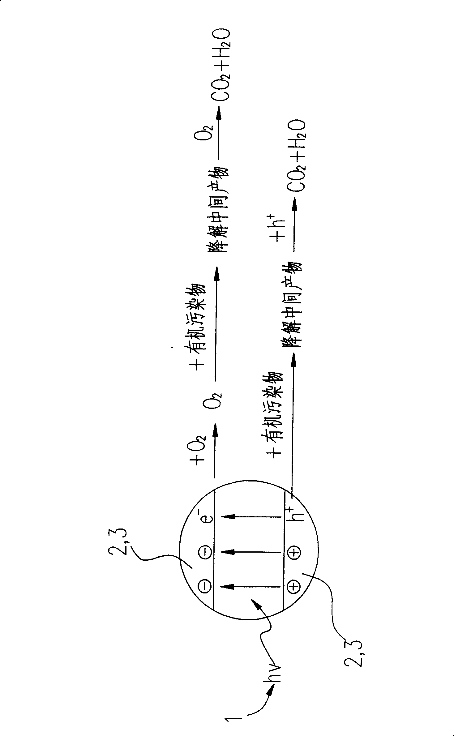 Photoelectricity catalytic reactor for degrading organic contaminant and degradation method