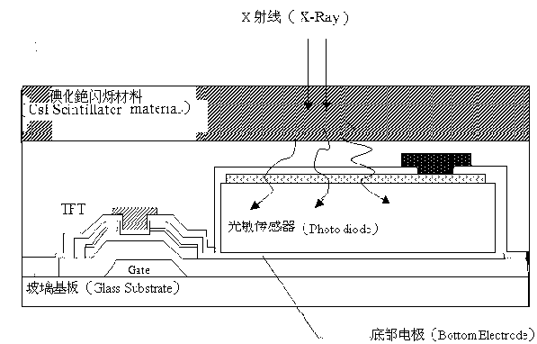 Flat plate type X-ray image sensor